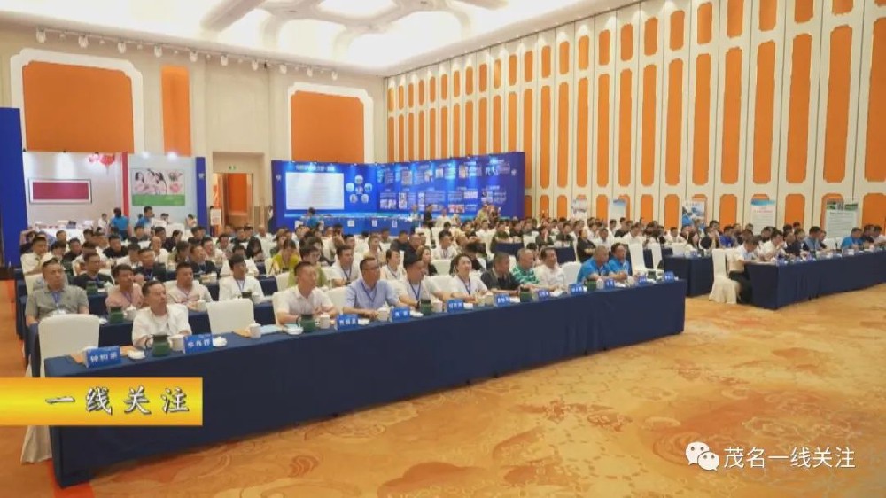 茂名羅非魚(yú)“游”向杭州