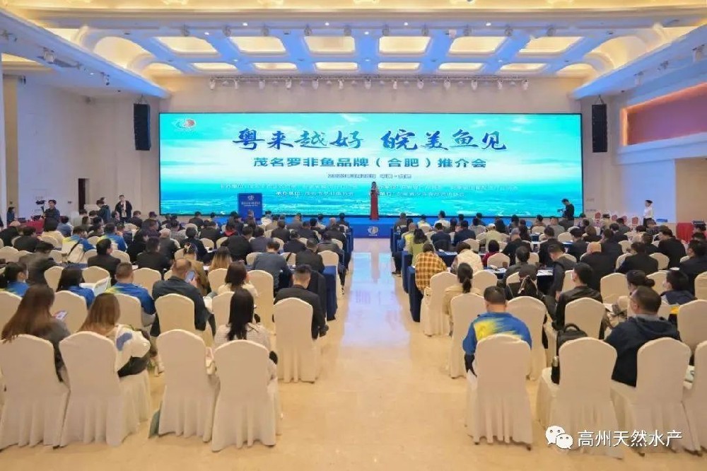 “粵來(lái)越好 皖美魚(yú)見(jiàn)”-----茂名“一條魚(yú)”（羅非魚(yú)）引爆安徽商圈！
